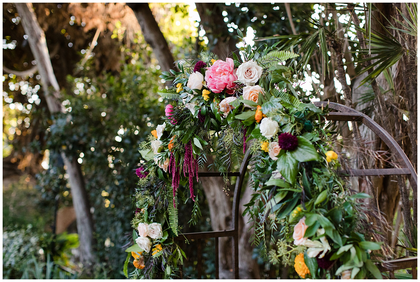 San Diego Botanic Garden Wedding San Diego Wedding Photographer